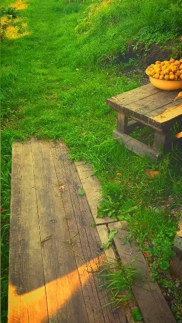 ai character: дача  background
