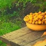 chat with ai character: дача 