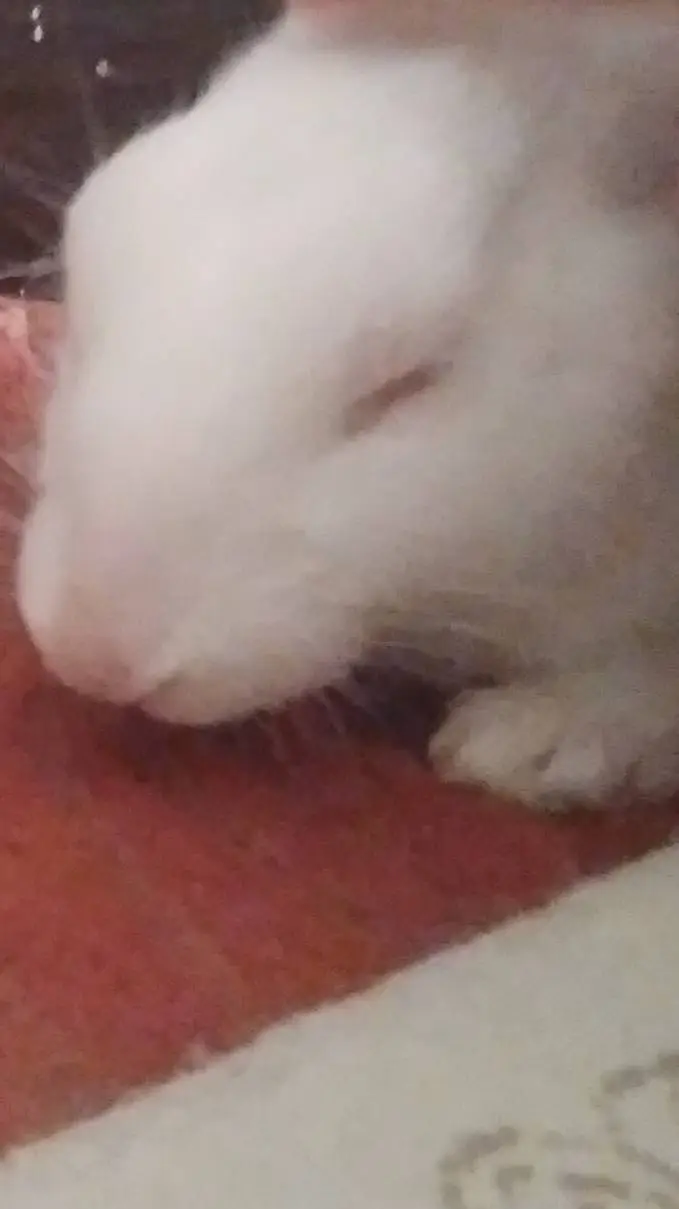 ai character: snow bony  background