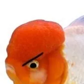 chat with ai character: fishy gishy