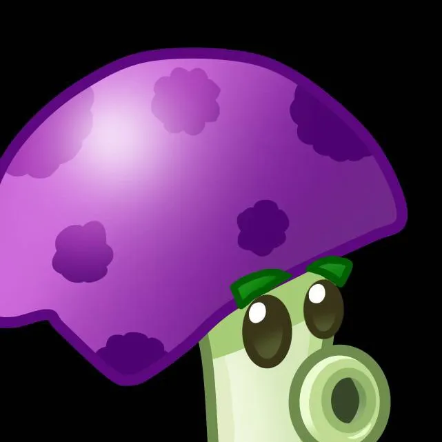 chat with ai character: Seta miedica