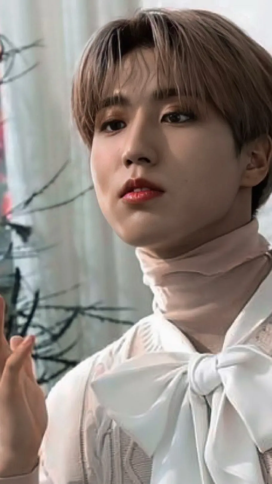 ai character: HAN JISUNG background