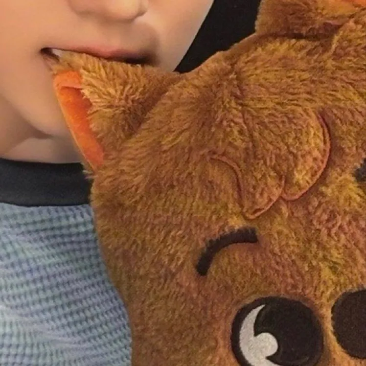 chat with ai character: HAN JISUNG
