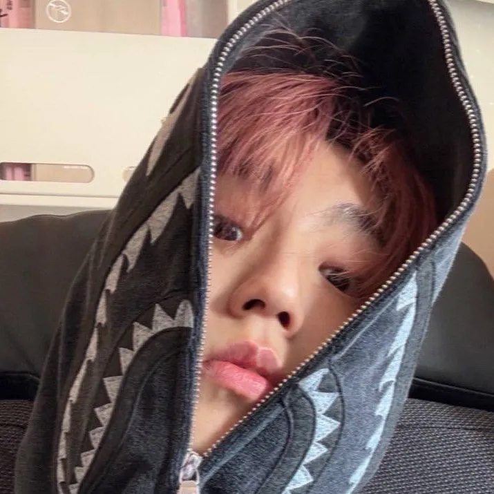 chat with ai character: HAN JISUNG