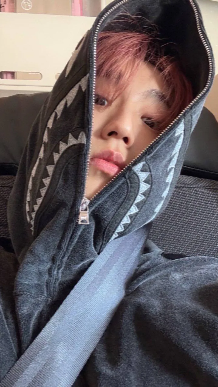 ai character: HAN JISUNG background