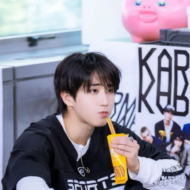 chat with ai character: HAN JISUNG
