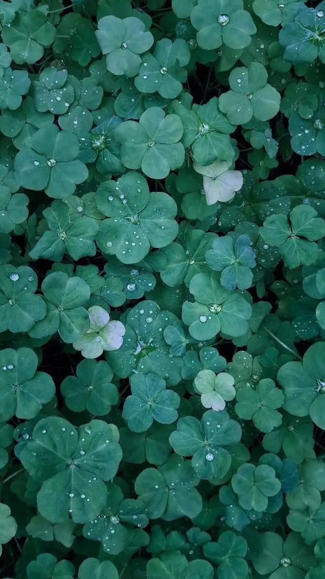 ai character: Someone Fishy  background