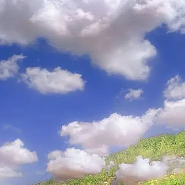 chat with ai character: Boda en Canterlot