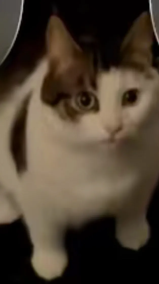 ai character: Luna background