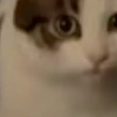 chat with ai character: Luna