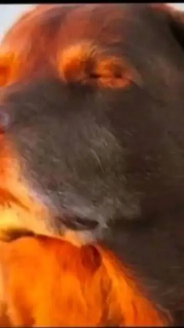 ai character: gray background