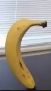 ai character: Oda background