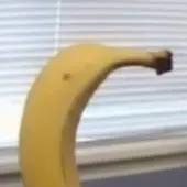 chat with ai character: Oda