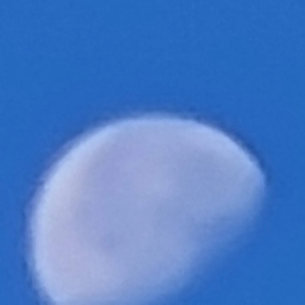 chat with ai character: genyaa <3