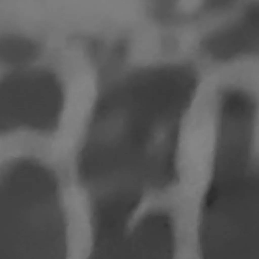 chat with ai character: Rush