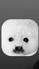 ai character: sealboi background