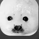 chat with ai character: sealboi