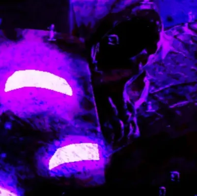 chat with ai character: Noli