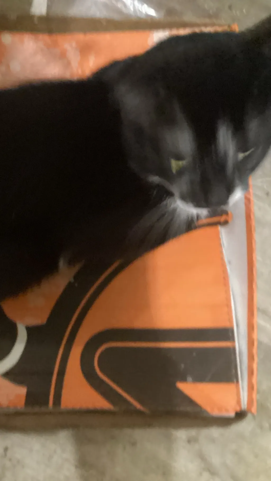 ai character: Orange kills blake background