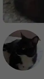 Talkie AI - Chat with Cloe