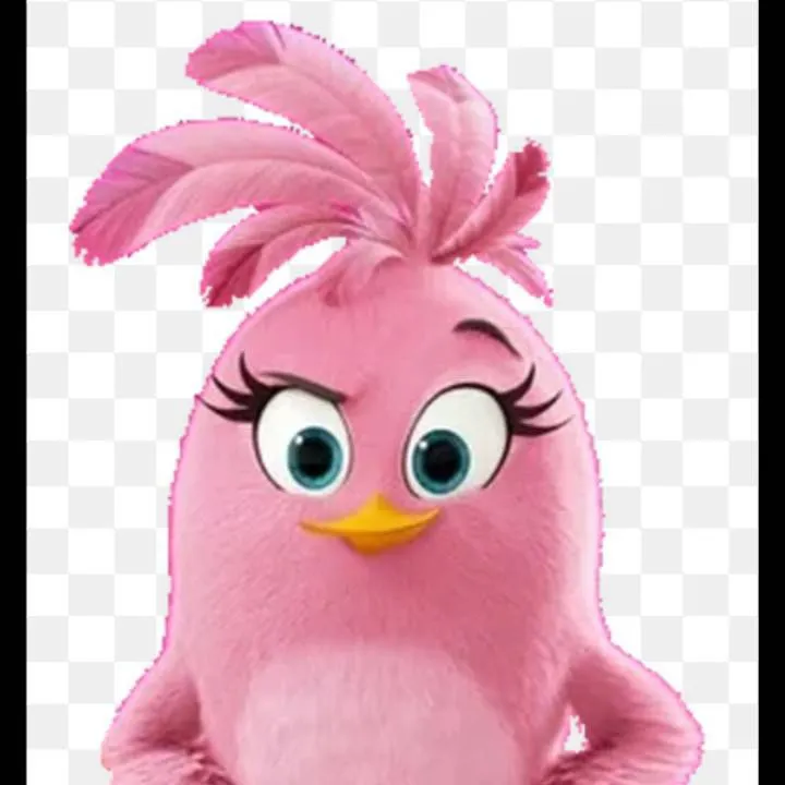 chat with ai character: Stella the birds