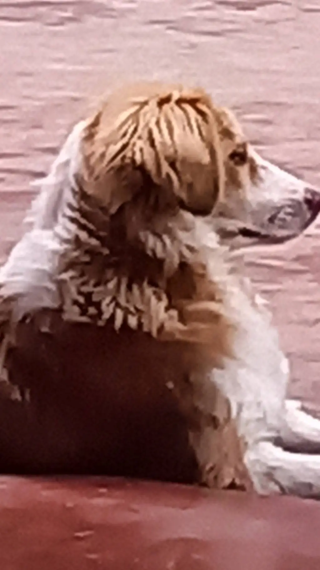 ai character: squid game femboy background