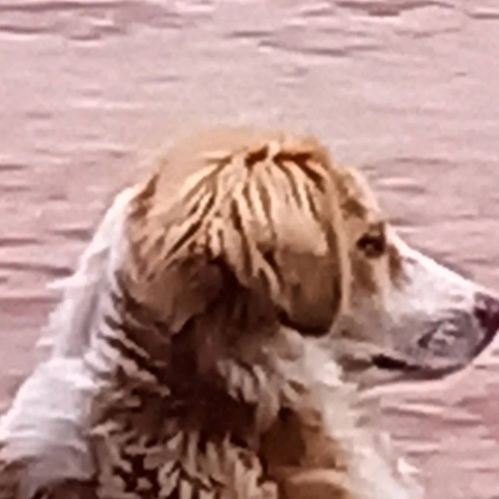 chat with ai character: squid game femboy