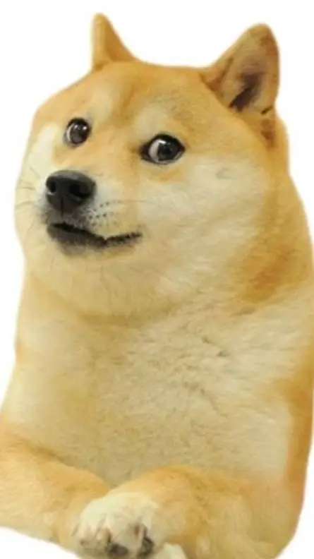 ai character: mi doge background