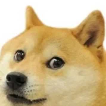 chat with ai character: mi doge