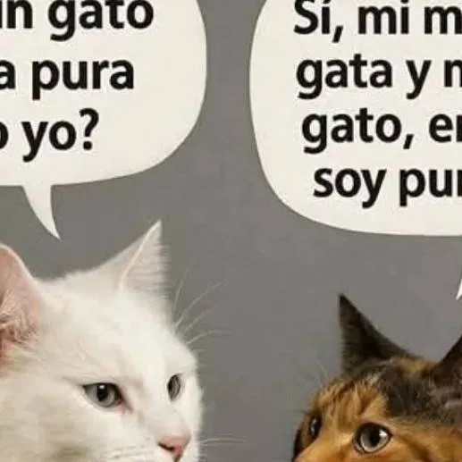 chat with ai character: Sprunki te odia 🇪🇸