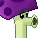 chat with ai character: Seta Miedica (Pvz)