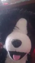ai character: plushie dog background