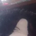 chat with ai character: plushie dog