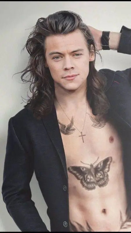 ai character: Harry Styles  background