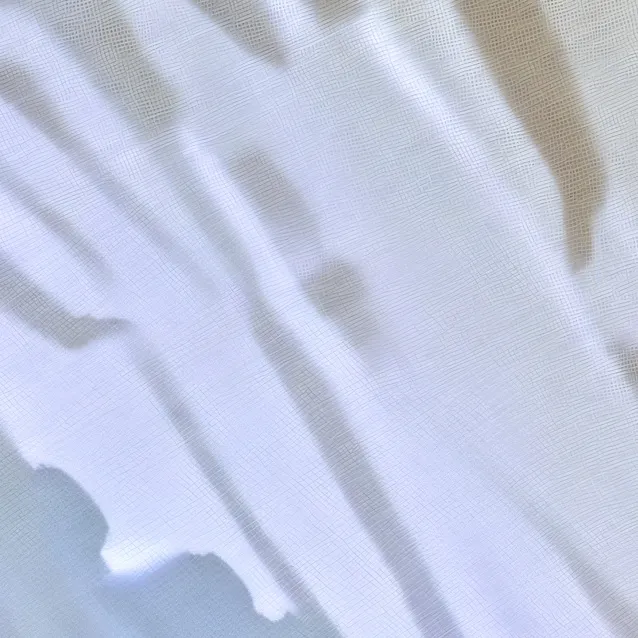 chat with ai character: Class 11V