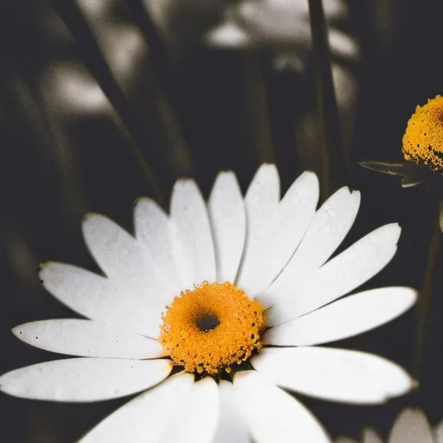 chat with ai character: School