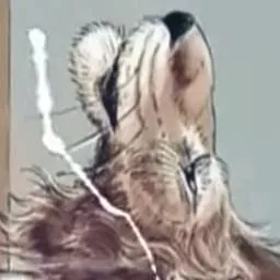 chat with ai character: conejo conejoso