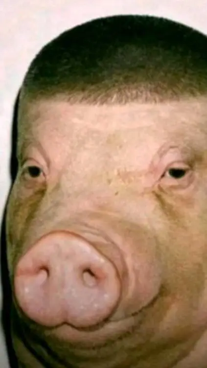 ai character: Osvaldo background