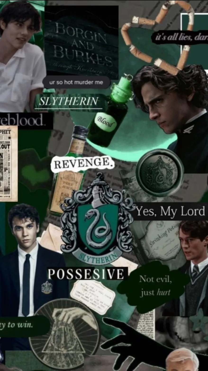 ai character: Slytherin boys  background