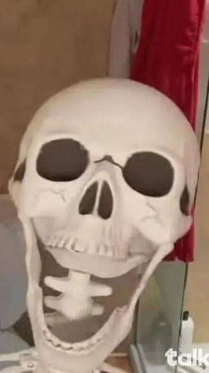 ai character: DW XD background