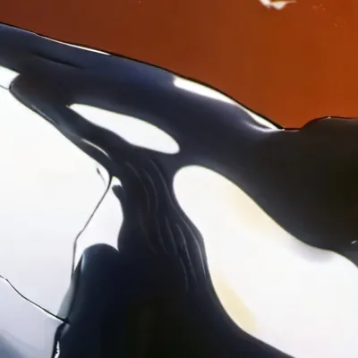 chat with ai character: Titan Whale Man