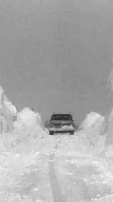 ai character: [PLACE_HOLDER] background