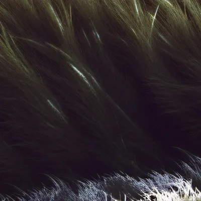 chat with ai character: Orange grass? 