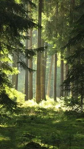 ai character: Fpe background