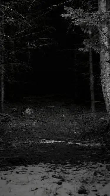 ai character: Fpe campamento background