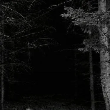 chat with ai character: Fpe campamento