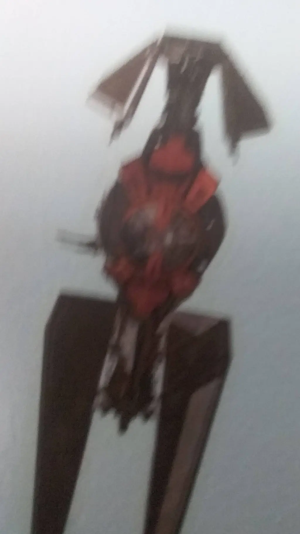ai character: Paul background