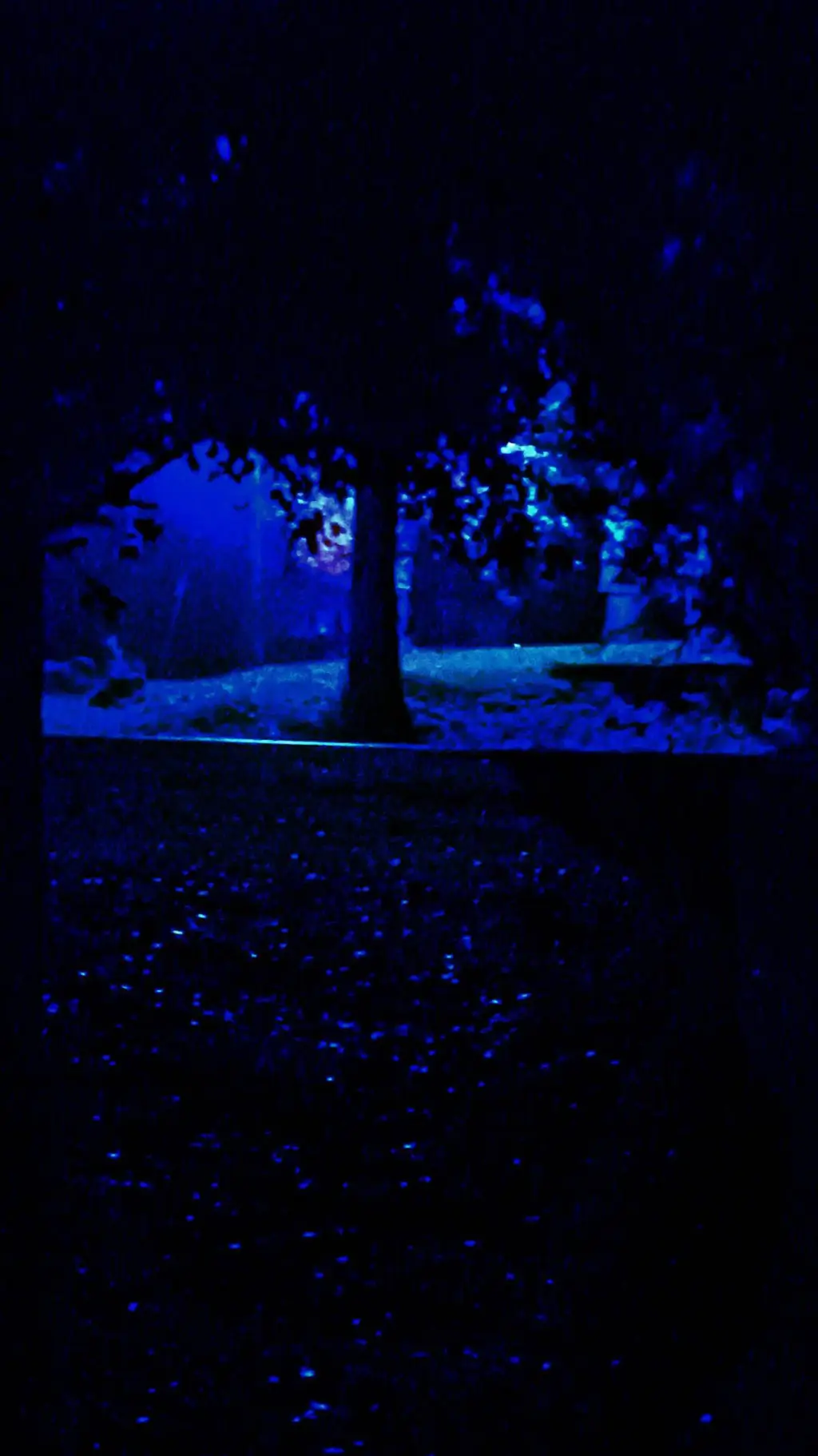 ai character: ~\Dw sweet Blood\~ background