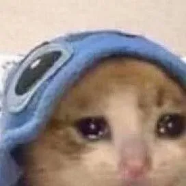 chat with ai character: Cat call meme