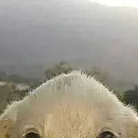 chat with ai character: Jotcha